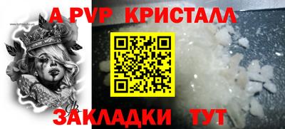 спиды Новодвинск